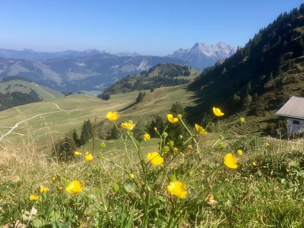 Hotel Metzgerwirt Kirchberg in Tirol Exteriör bild